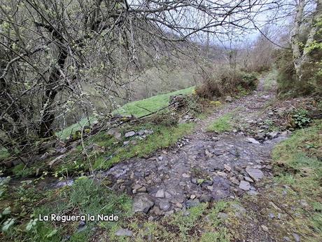 El Reboḷḷal-Alto del Trayecto-El Mosqueiro