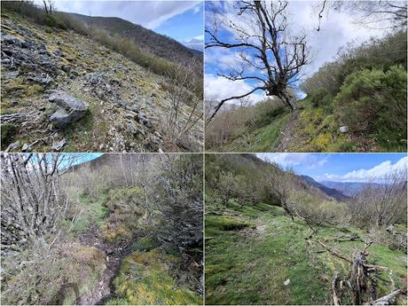 El Reboḷḷal-Alto del Trayecto-El Mosqueiro