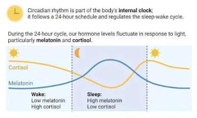 ¿No puede dormir? Su microbioma podría estar influyendo.