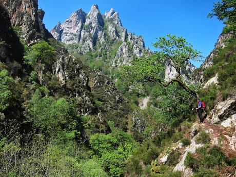 De La Redondina a Tajadura (LA AGRESTE PEÑAMELLERA PARTE II) Río Mildón