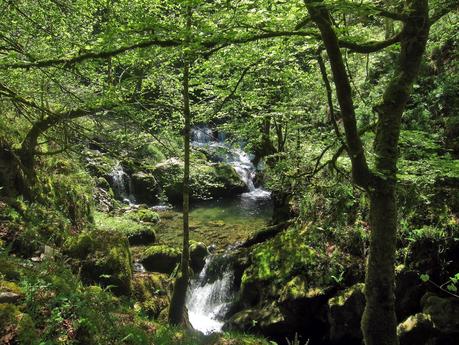 De La Redondina a Tajadura (LA AGRESTE PEÑAMELLERA PARTE II) Pozas del río Mildón