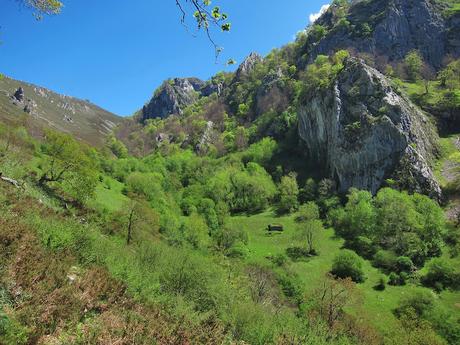 De La Redondina a Tajadura (LA AGRESTE PEÑAMELLERA PARTE II) Tramo con vegetación cerrada hacia Collantes