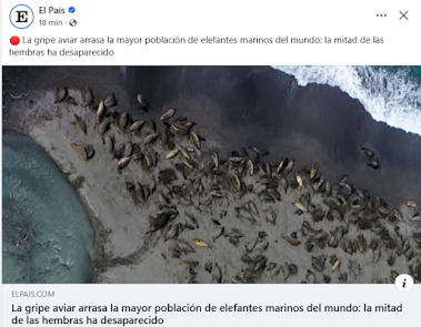 La gripe aviar y la Pandemia de la ignorancia supina