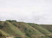 Bosquia consolida como referente soluciones basadas naturaleza para compensación