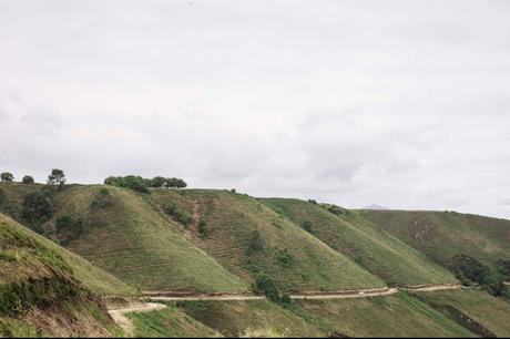 Bosquia se consolida como referente en soluciones basadas en la naturaleza para la compensación de CO2