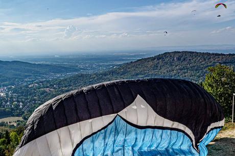 TPU; el material invisible que revoluciona industrias y transforma el día a día TPU; el material invisible que revoluciona industrias y transforma el día a día