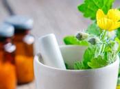 Curso Naturopatía ISED; modalidad presencial homeclass Pamplona, Madrid Bilbao