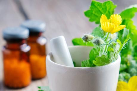 Curso de Naturopatía en ISED; modalidad presencial o homeclass en Pamplona, Madrid y Bilbao Curso de Naturopatía en ISED; modalidad presencial o homeclass en Pamplona, Madrid y Bilbao