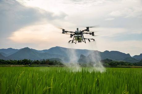 Llega a España el dron DJI Agras T100 de la mano de Aerofor, distribuidor oficial de DJI Agriculture Llega a España el dron DJI Agras T100 de la mano de Aerofor, distribuidor oficial de DJI Agriculture