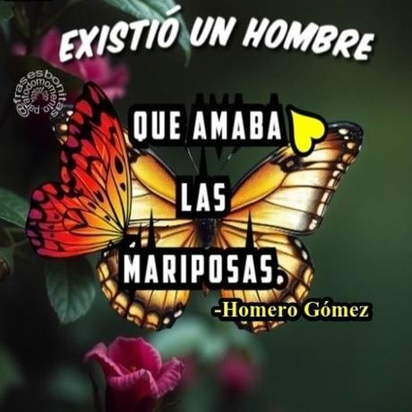 Las personas aman las mariposas por su belleza y delicadeza, que simbolizan transformación, libertad y renacimiento. Además, su significado espiritual como mensajeras o guías y la conexión que generan con la magia de la naturaleza y la alegría atraen a quienes aprecian su simbolismo y gracia.