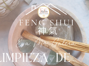 Limpieza energías Cerdo