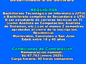Desarrollador-a Software