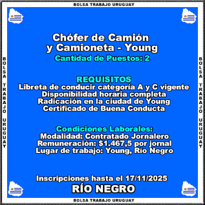 Chófer de Camión y Camioneta - Young Chófer de Camión y Camioneta - Young