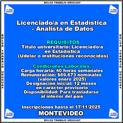 Licenciado-a en Estadística - Analista de Datos Licenciado-a en Estadística - Analista de Datos