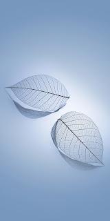 6.387 - ESCUCHO AL VIENTO... 6.387 - ESCUCHO AL VIENTO...