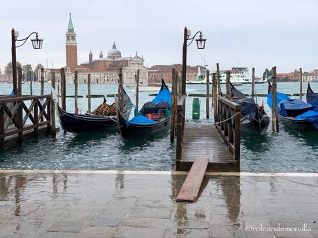 Recorriendo Venecia: Viajando en Vaporetto. 65EEF5F8-18EE-40D2-AC0F-D97D9CA7A002.jpeg
