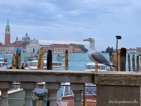 Recorriendo Venecia: Viajando en Vaporetto. 2663DA2E-B00E-4B2E-8DF8-AC42D7F96902.jpeg