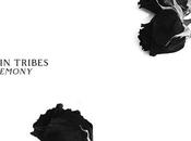 Twin tribes ceremony