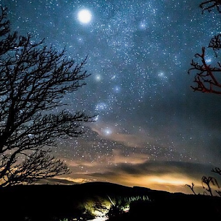 De la hojita del calendario.