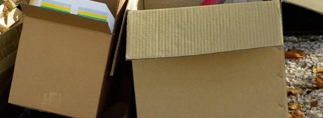 ¿Por qué Alemania sigue siendo uno de los destinos más atractivos para vivir y trabajar en Europa?