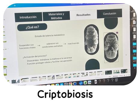 Criptobiosis