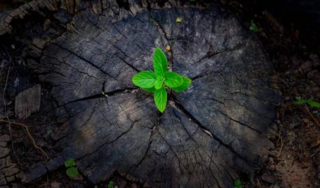 Repara tu Deuda Abogados, fuerza transformadora con la Ley de Segunda Oportunidad en España