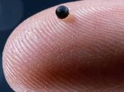 Micro robots reparan ictus