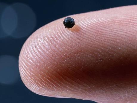 Micro robots reparan el ictus Micro robots reparan el ictus