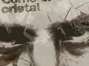 Barracüda estrena Como cristal