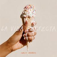 Carlos Sadness estrena video lyric de La vida perfecta