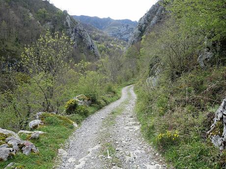 Caleao-Peña la Frayada