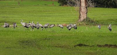 LA INVERNADA YA ESTÁ AQUÍ