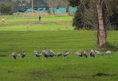LA INVERNADA YA ESTÁ AQUÍ