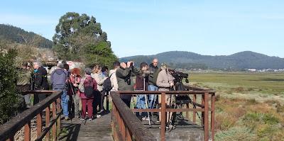 LA INVERNADA YA ESTÁ AQUÍ