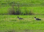 invernada está aquí