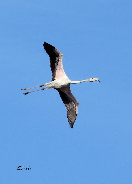 LA INVERNADA YA ESTÁ AQUÍ