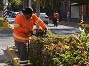 Gobierno Capital embellece espacios icónicos labores limpieza mantenimiento