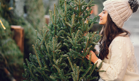 CUANDO LA MAGIA DE NAVIDAD ESTÁ EN LOS CENTROS DE JARDINERIAS 16 CUANDO LA MAGIA DE NAVIDAD ESTÁ EN LOS CENTROS DE JARDINERIAS 16