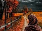 6.391 nubes sombras...