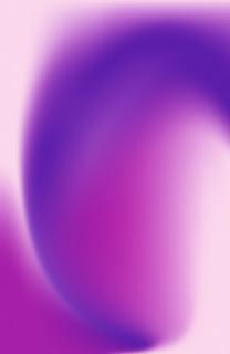 LA BURBUJA DE LA ESTAFA. UNA TEORÍA POLÍTICA DEL COLAPSO ESTADOUNIDENSE LA BURBUJA DE LA ESTAFA. UNA TEORÍA POLÍTICA DEL COLAPSO ESTADOUNIDENSE