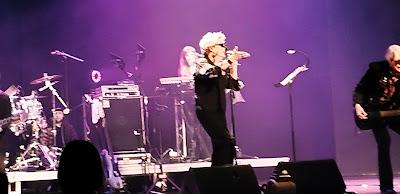 El regreso de Topper  + The Psychedelic Furs + Mi mascota y yo