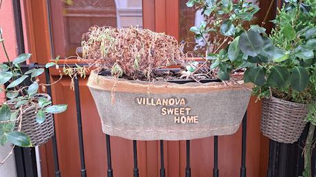 CERDEÑA : CAGLIARI, LA CAPITAL DE LA ISLA CERDEÑA : CAGLIARI, LA CAPITAL DE LA ISLA