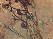 Santiago Martín Lirio (2014)