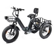 Triciclo Eléctrico PULUMA SL001- Funcionalidad en Diseño, Robustez e Independencia Utilitaria 6 Triciclo Eléctrico PULUMA SL001- Funcionalidad en Diseño, Robustez e Independencia Utilitaria 6