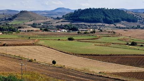CERDEÑA : NURAXI DI BARUMINI, PATRIMONIO DE LA UNESCO CERDEÑA : NURAXI DI BARUMINI, PATRIMONIO DE LA UNESCO