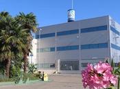 Innovación cercanía; Arafarma Group estrena plataforma venta online