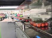 Máquinas envasado BELCA para reducir costes final línea