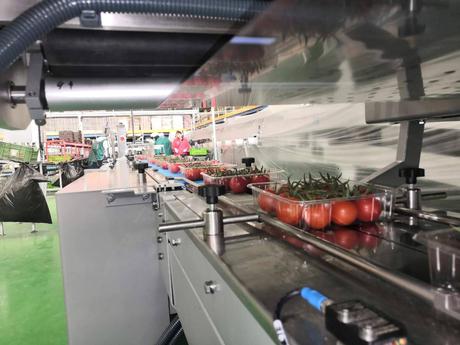 Máquinas de envasado BELCA para reducir costes a final de línea Máquinas de envasado BELCA para reducir costes a final de línea