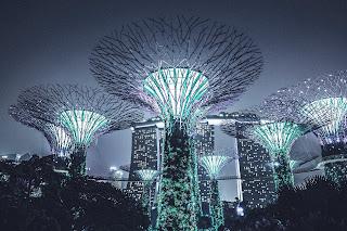 ¿QUE FUTURO NOS ESPERA?