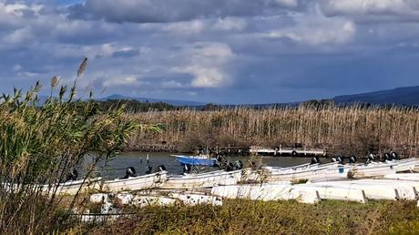 CERDEÑA : CABRAS, ORISTANO Y LA PENÍNSULA DE SINIS